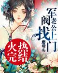 军阀老公宠上门