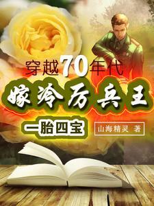 嫁冷厉兵王一胎四宝穿越70年代 山海