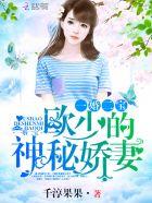 一婚二宝乔少不好惹