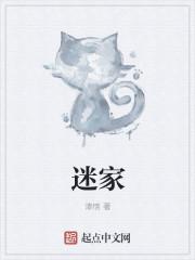 迷家小