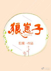 狼崽子团