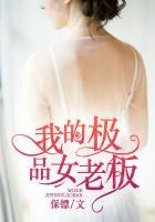 我的极品女老板 第335章