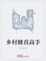 乡村修真高手林风最新更新章节阅读