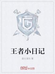 王者荣耀游戏日记