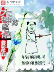 大神笔记本电脑为什么便宜