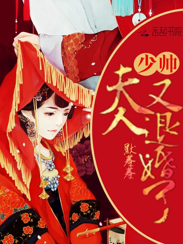 少帅夫人又退婚了免费阅读全文阅读