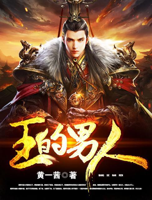 王的男人剧情解说