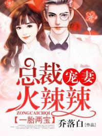 一胎两宝总裁宠妻上瘾