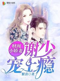 财阀小娇妻谢少宠上瘾百度
