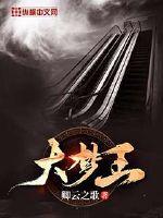 大梦王妃最新章节列表