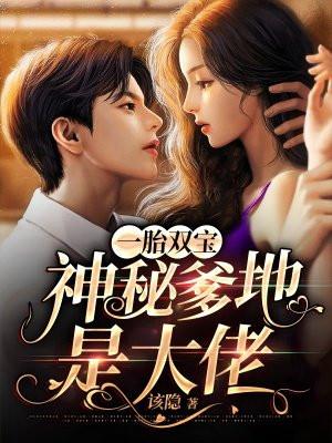 一胎双宝爹地宠不停