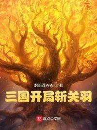 三国华雄斩关羽飞卢