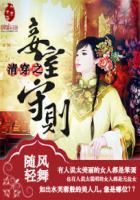 清穿之妾室成妃记乐文
