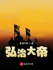 弘治年是哪年