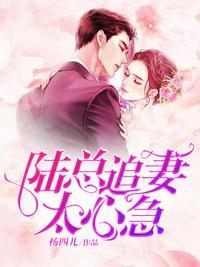 陆总追妻路漫漫宋小念全文免费阅读