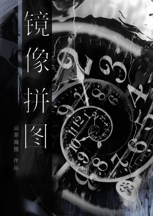 镜像拼图 讲的什么