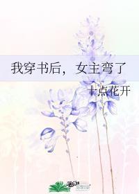 穿书后我以为我是女主