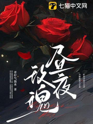 昼夜玫瑰 免费阅读