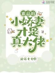 霍总闪婚的暖妻免费阂读