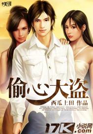 偷心大盗泰剧结局是什么