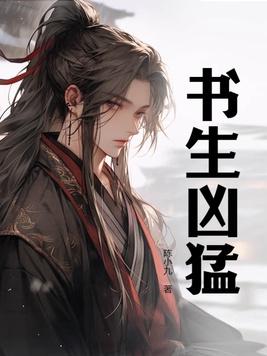 书生的全部