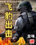 飞豹出击免费