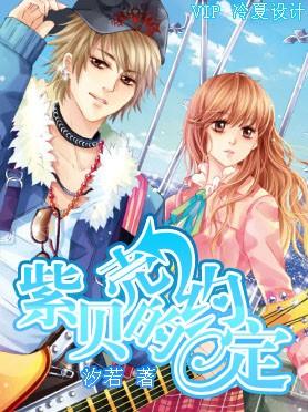 紫贝壳的约定 天然双面紫