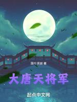 穿越大唐将军