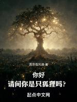 你是一只老狐狸英语怎么说