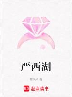 严西湖大桥汽车坠湖