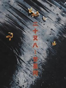 二十又七什么意思