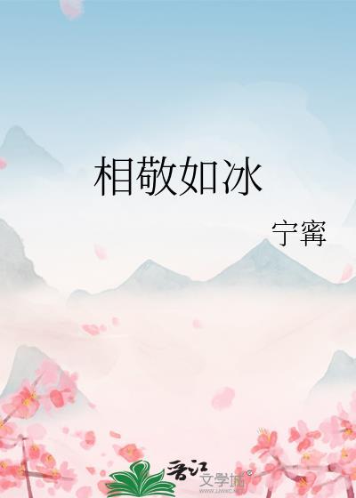 相敬如冰宁寗txt番外篇