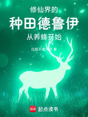 德鲁伊来了