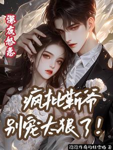 夜撩甜妻秘爱豪门小太太全文免费阅读无广告