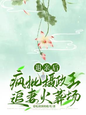 退亲后侯爷他打脸了