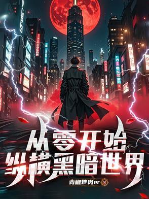 从零开始作者暗夜奏鸣