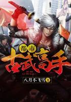 都市古武高手高阳