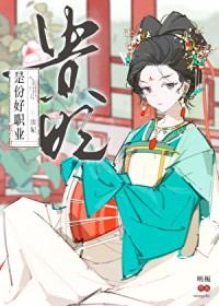 贵妃这个职位