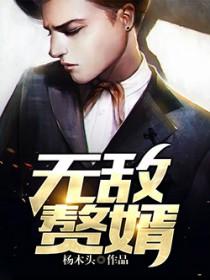 无敌赘婿 沈浪