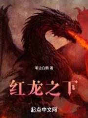 红龙之下无防盗