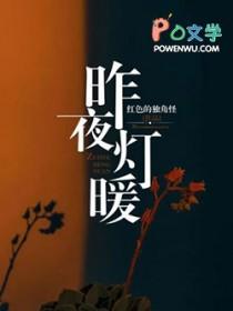 昨夜灯暖全文阅读