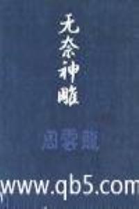 无奈神雕txt