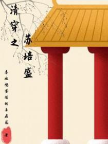 清穿之甄嬛传