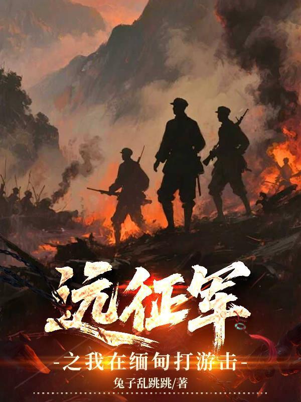 远征军之我在缅甸打游击免费阅读