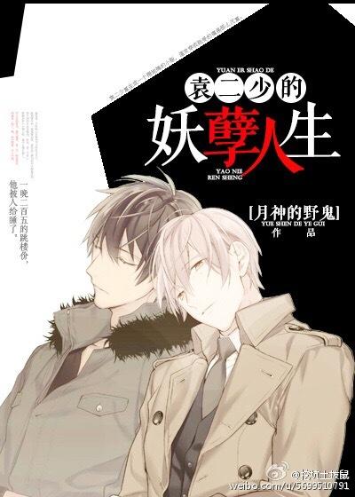 袁二少的妖孽人生 推荐