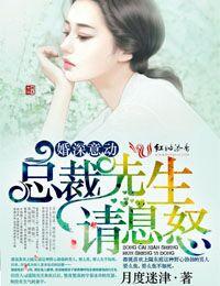 总裁先生请息怒红袖添香